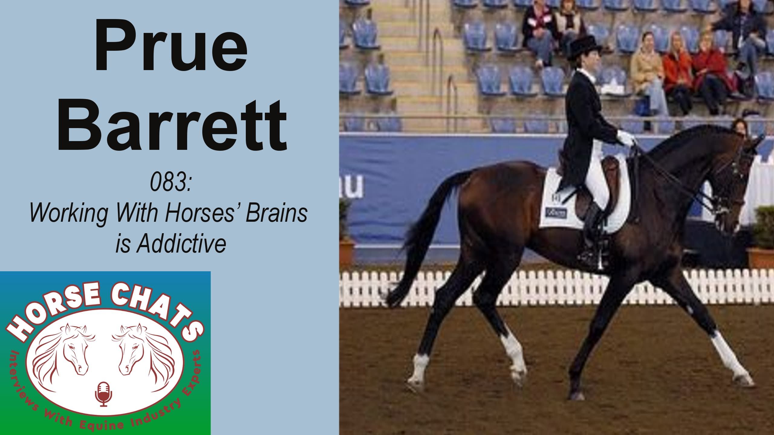 0083: Prue Barrett - Working With Horses' Brains is Addictive cover art