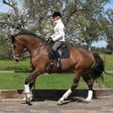 0467: Carolyn Earl 2 - "Ten Strategies For Training Successfully" cover art