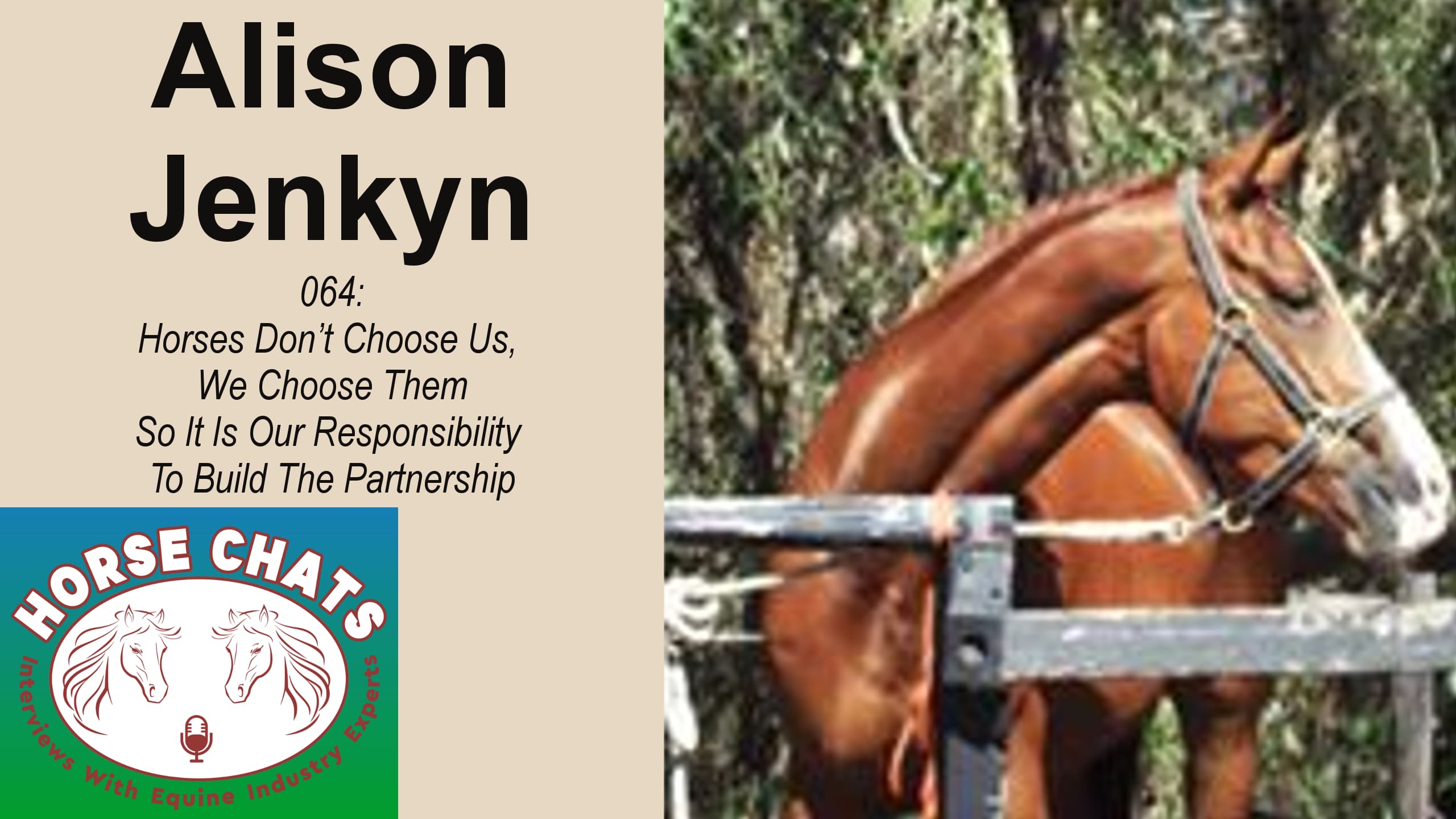 0064: Alison Jenkyn - Horses Don't Choose Us, We Choose Them So It Is Our Responsibility To Build The Partnership cover art