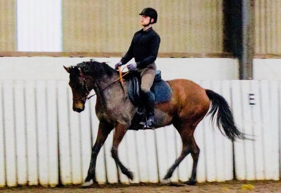 0704: Brendan Bergin LC - Love Solving The Problems of Challenging Horses (Listeners' Choice) cover art